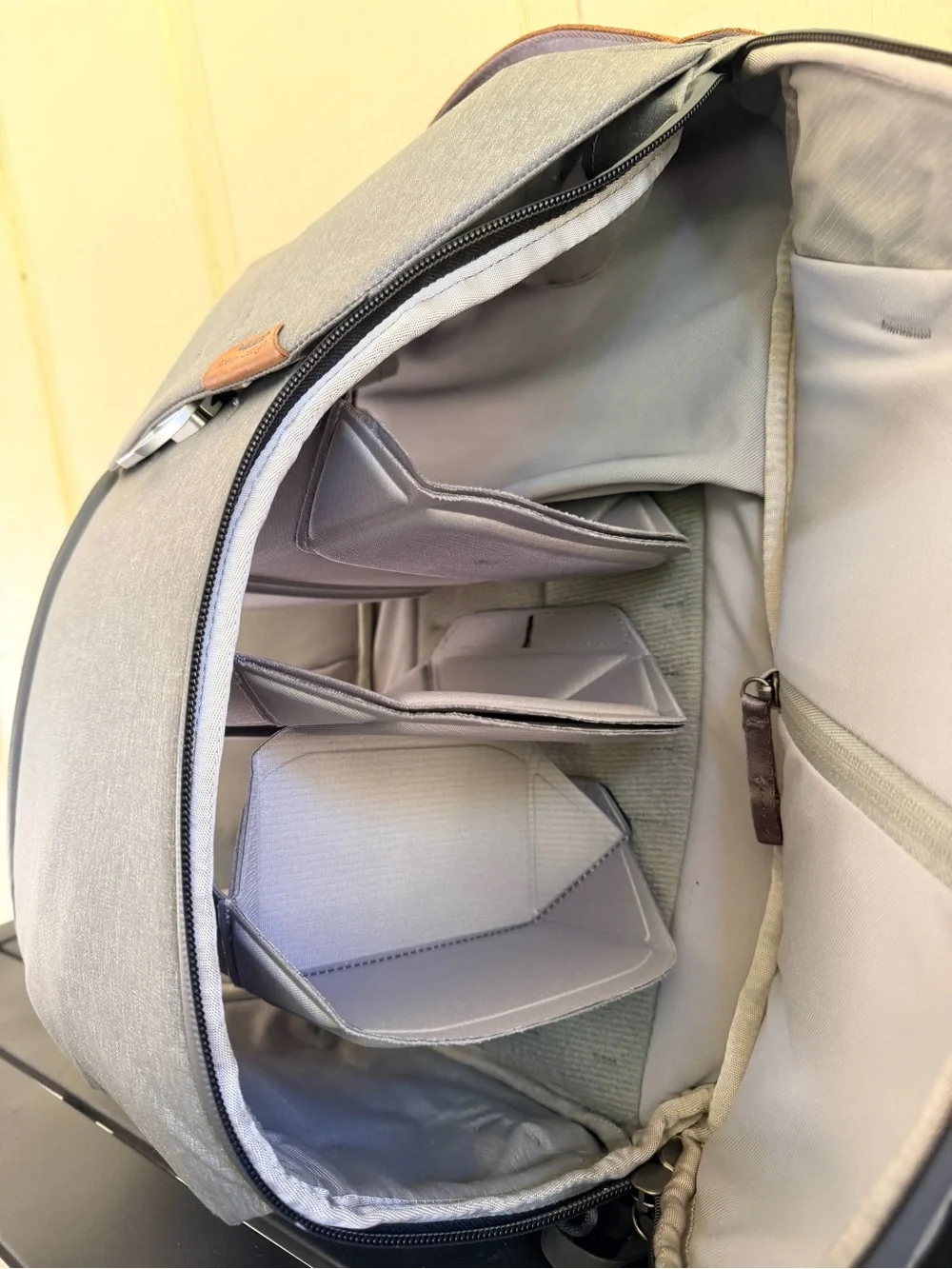 Peak Design Everyday Backpack 20L V2 Ash Camera Bag